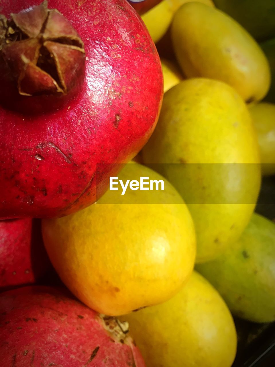 Close-up of fruit 