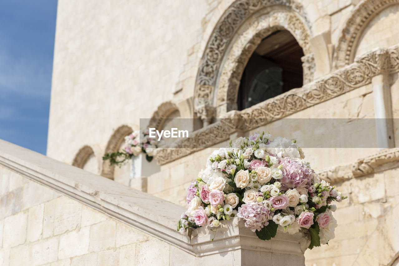 Trani, flowers of love. puglia. italy