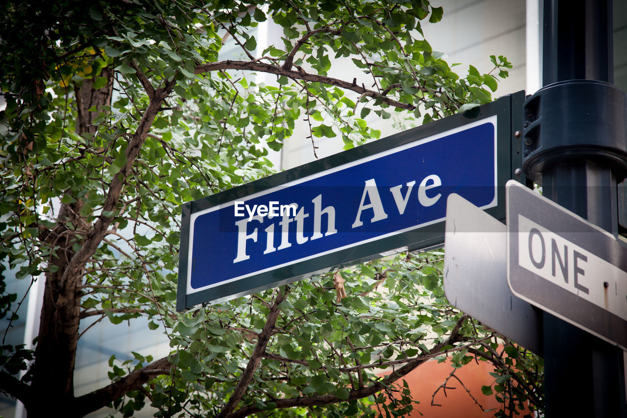 Low angle view of fifth avenue sign on pole