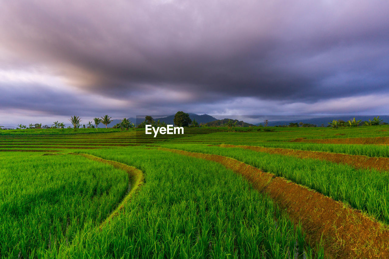 Beautiful morning view indonesia panorama landscape with beauty color and sky natural light