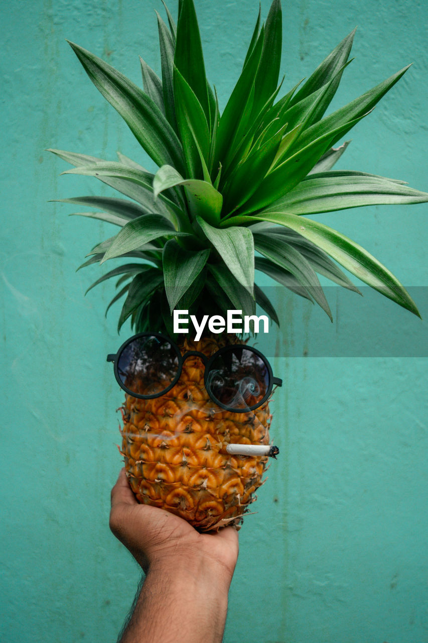 CROPPED IMAGE OF PERSON HOLDING FRUIT