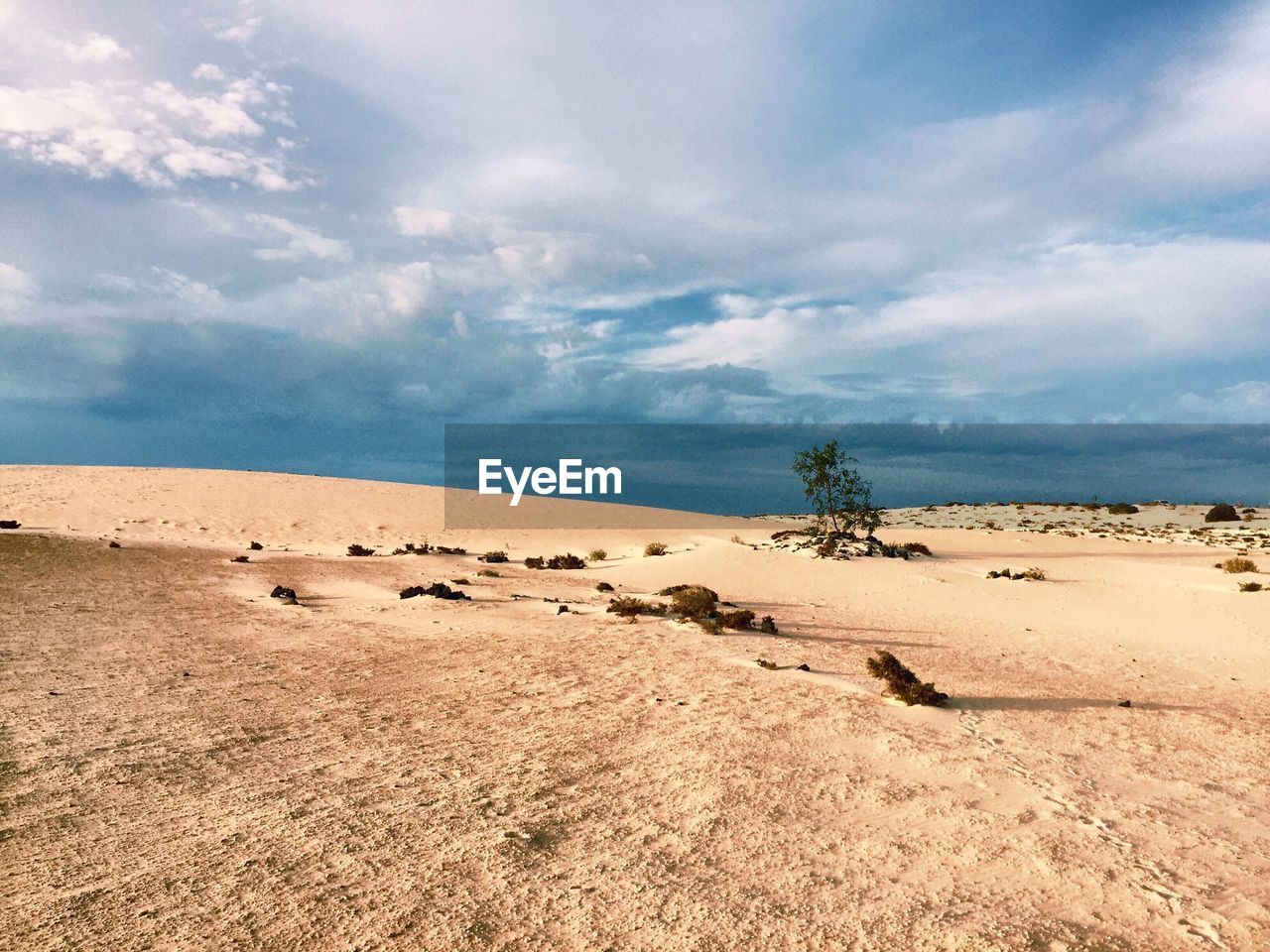 Scenic view of sand dunes against sky