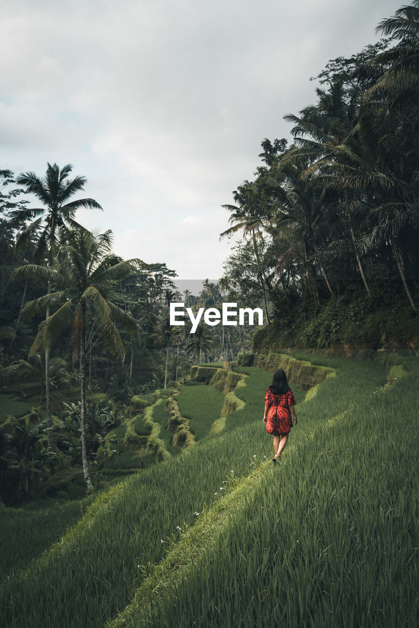 Rear view of woman walking in farm against sky