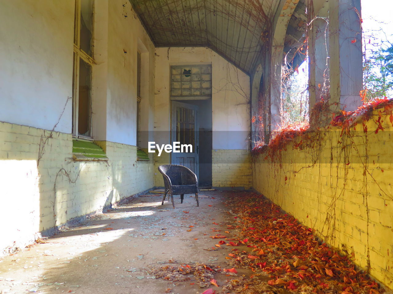 Petals on floor of abandoned house