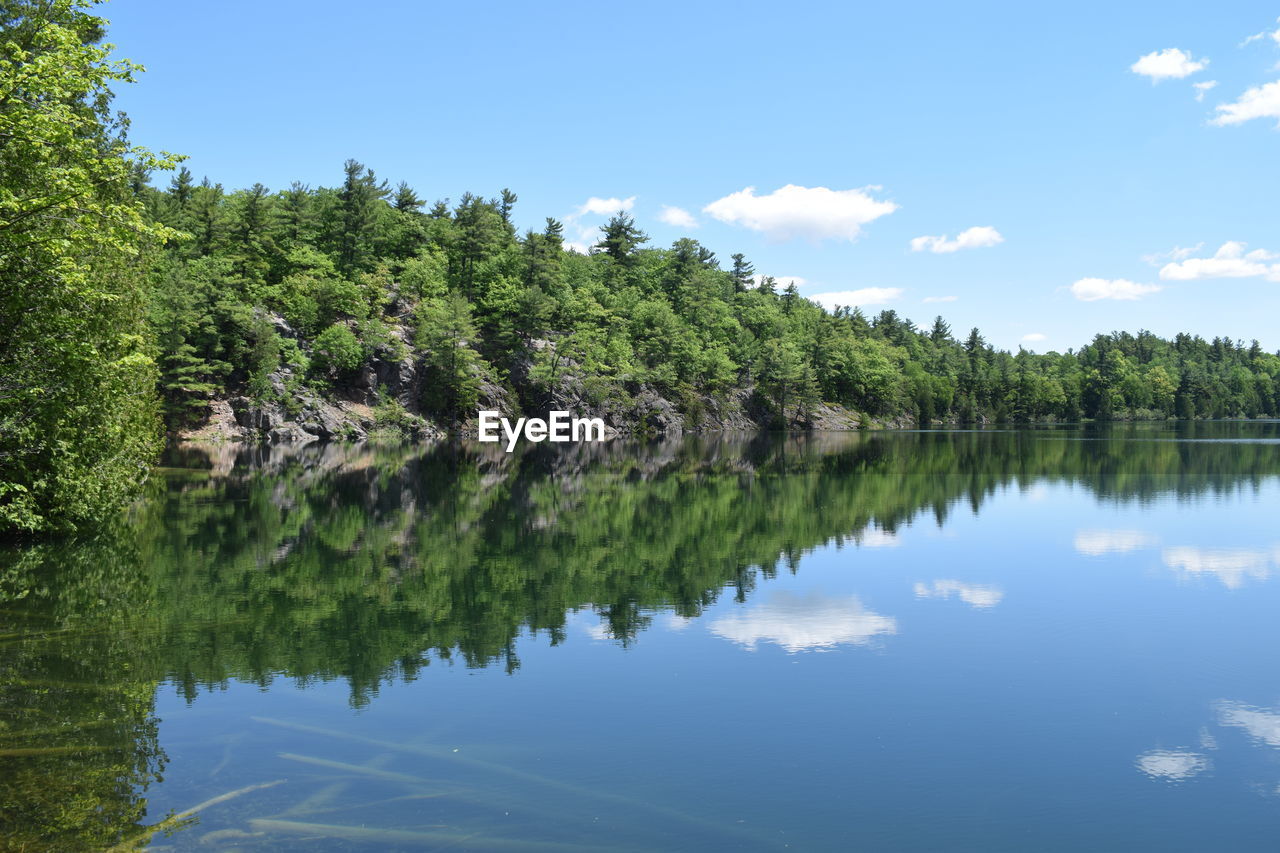 Scenic view of lake by trees against sky