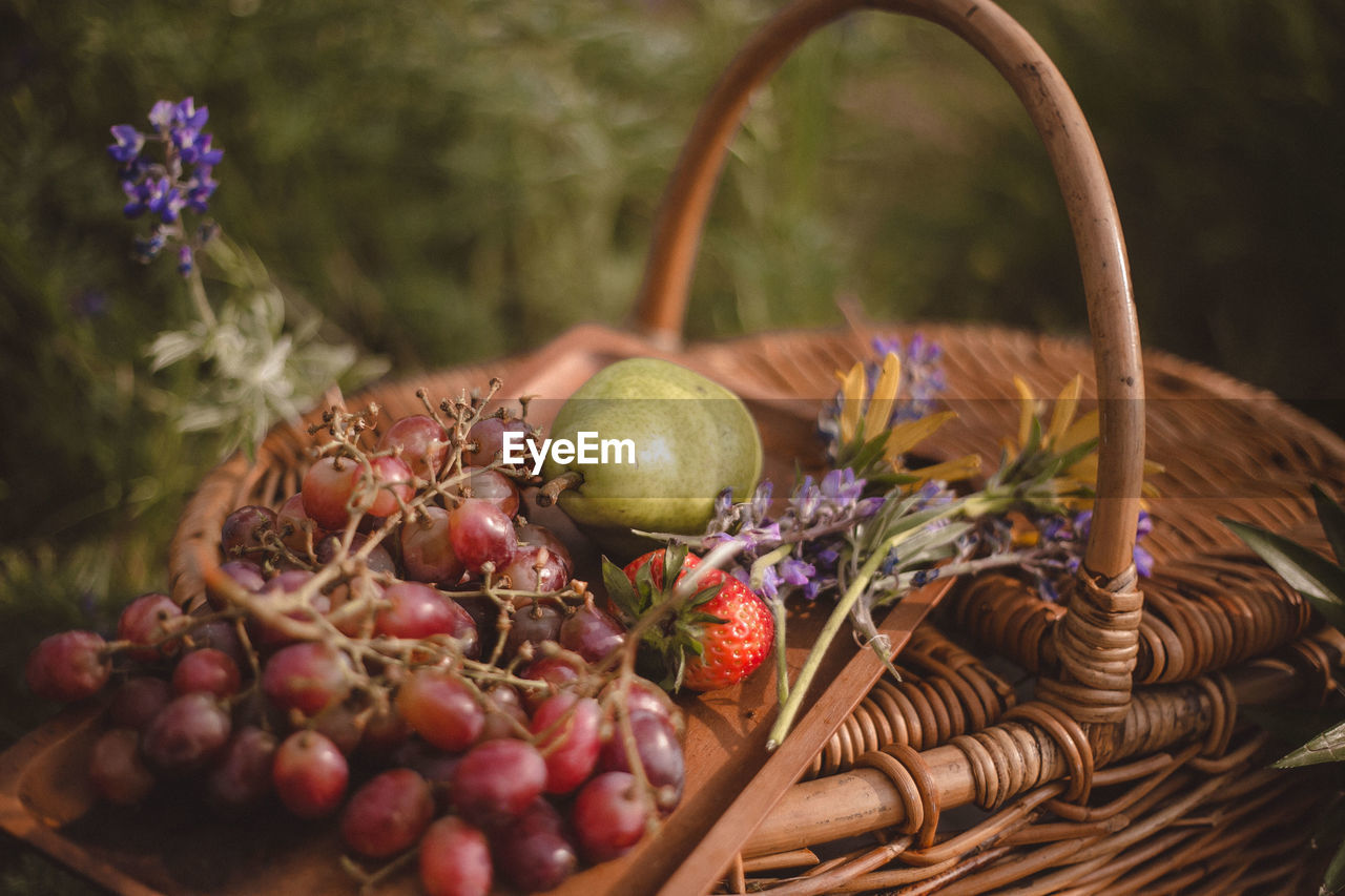 Basket of fruit in a field