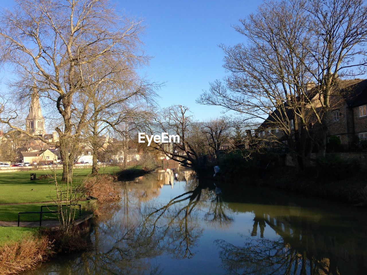 REFLECTION OF TREES IN WATER