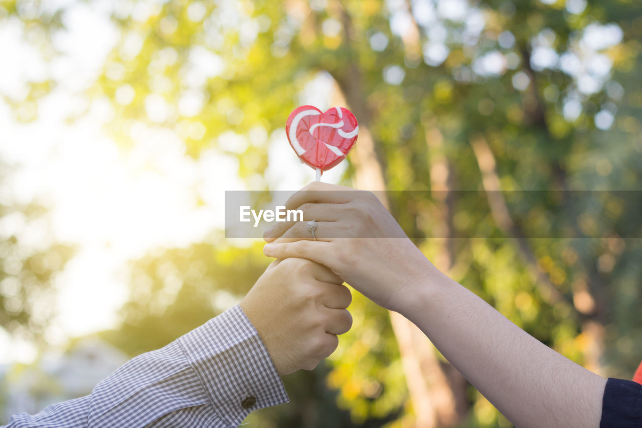 Close-up of hands holding heart shape lollipop