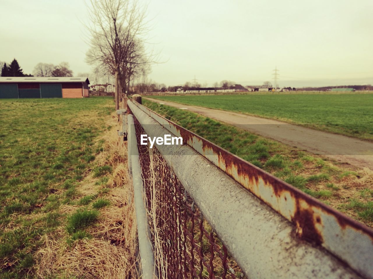 AGRICULTURAL FIELD AGAINST CLEAR SKY