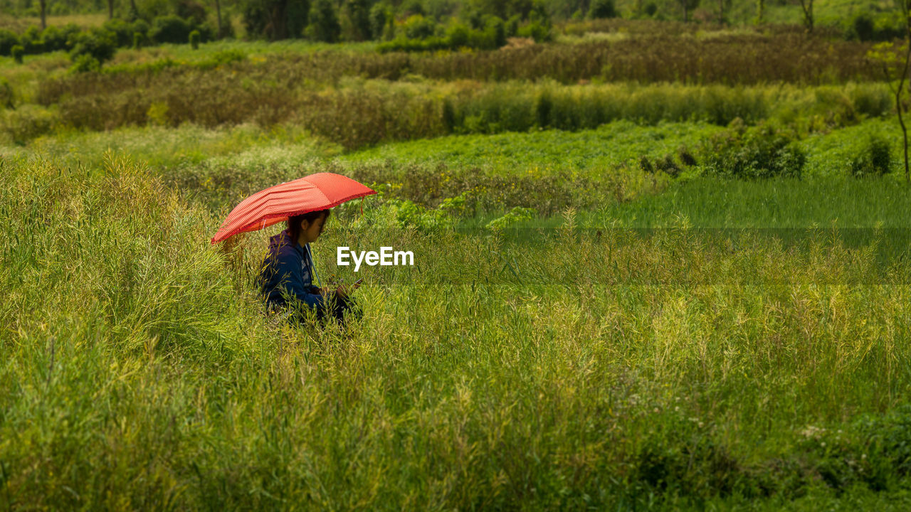 Woman with red umbrella amidst plants on field