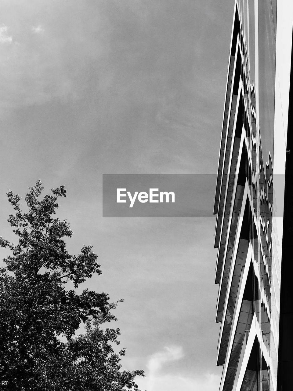 Low angle view of tree by building against sky