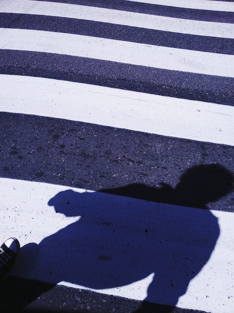 Close-up of shadow on the road