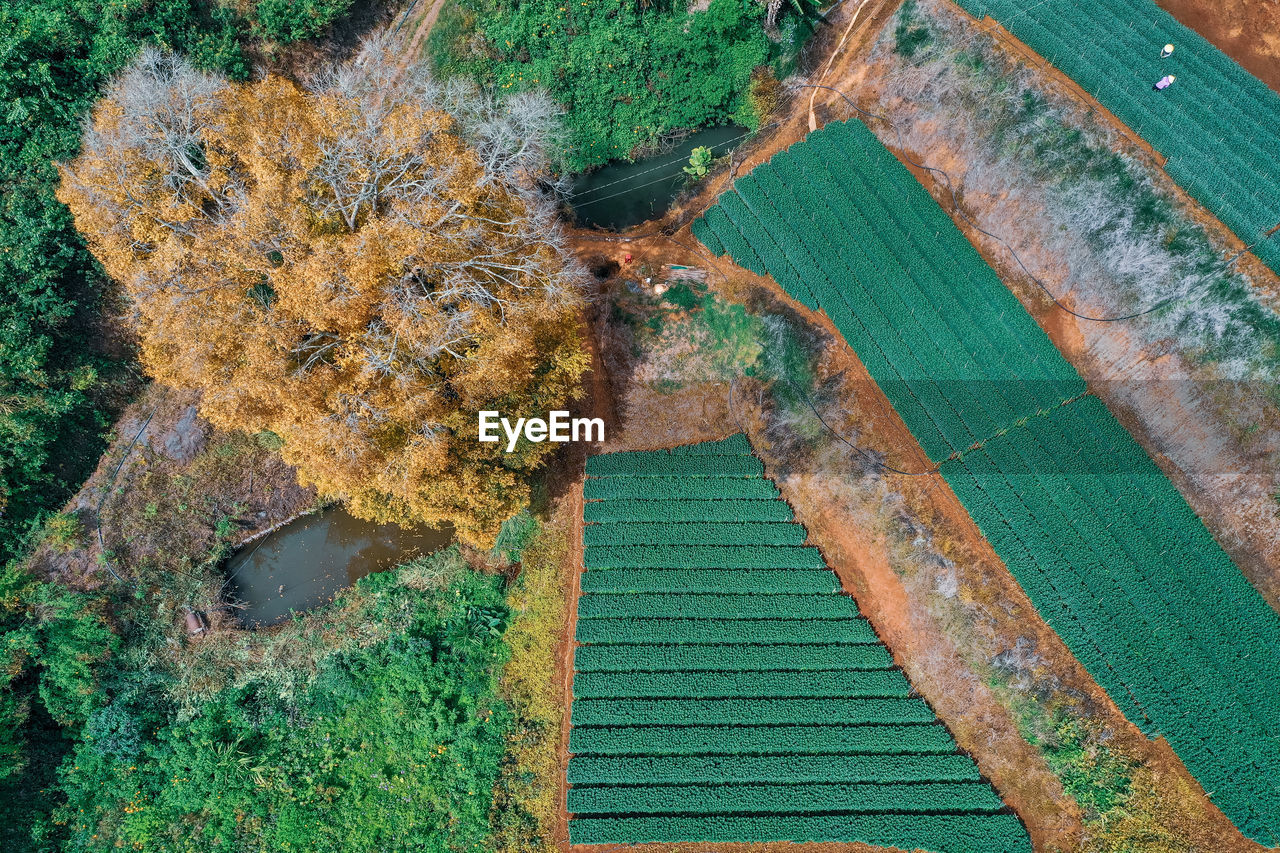 High angle view of beach