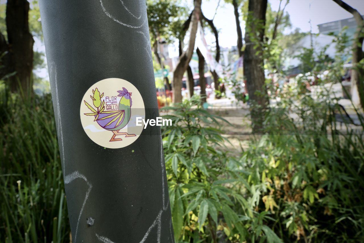 CLOSE-UP OF PAINTING ON TREE TRUNK