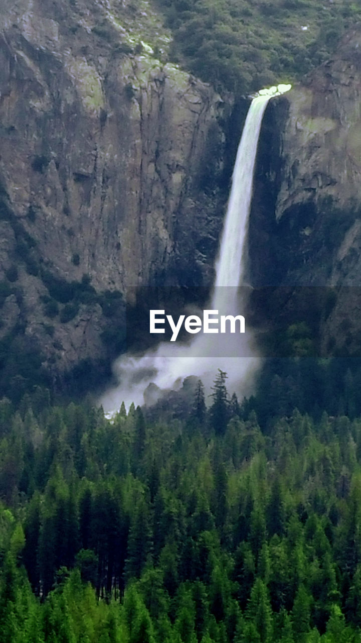 VIEW OF WATERFALL IN FOREST