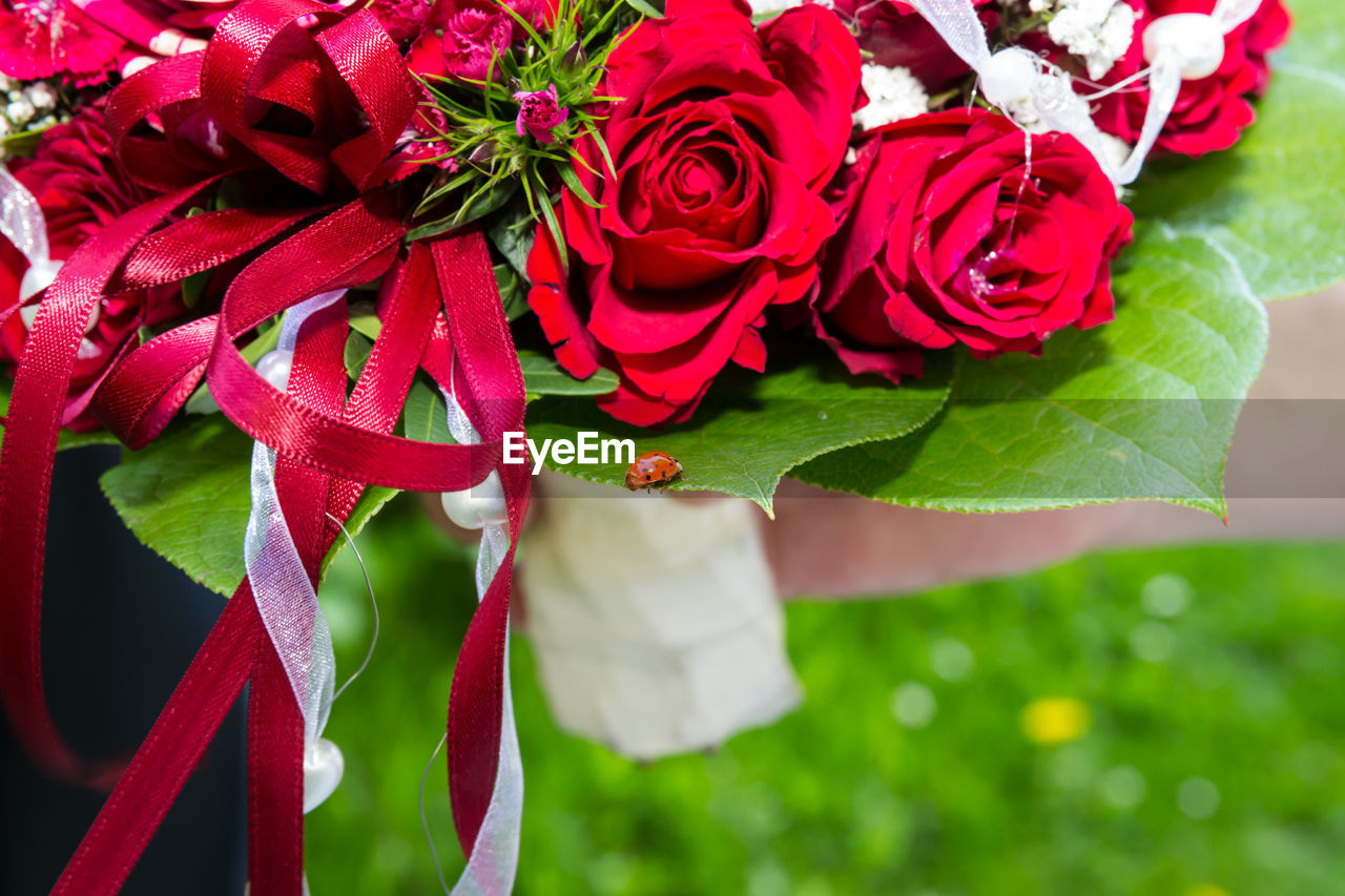 Close-up of rose bouquet