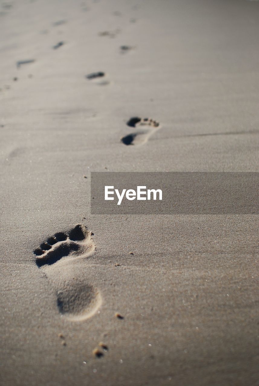 Close-up of footprints on sand at beach