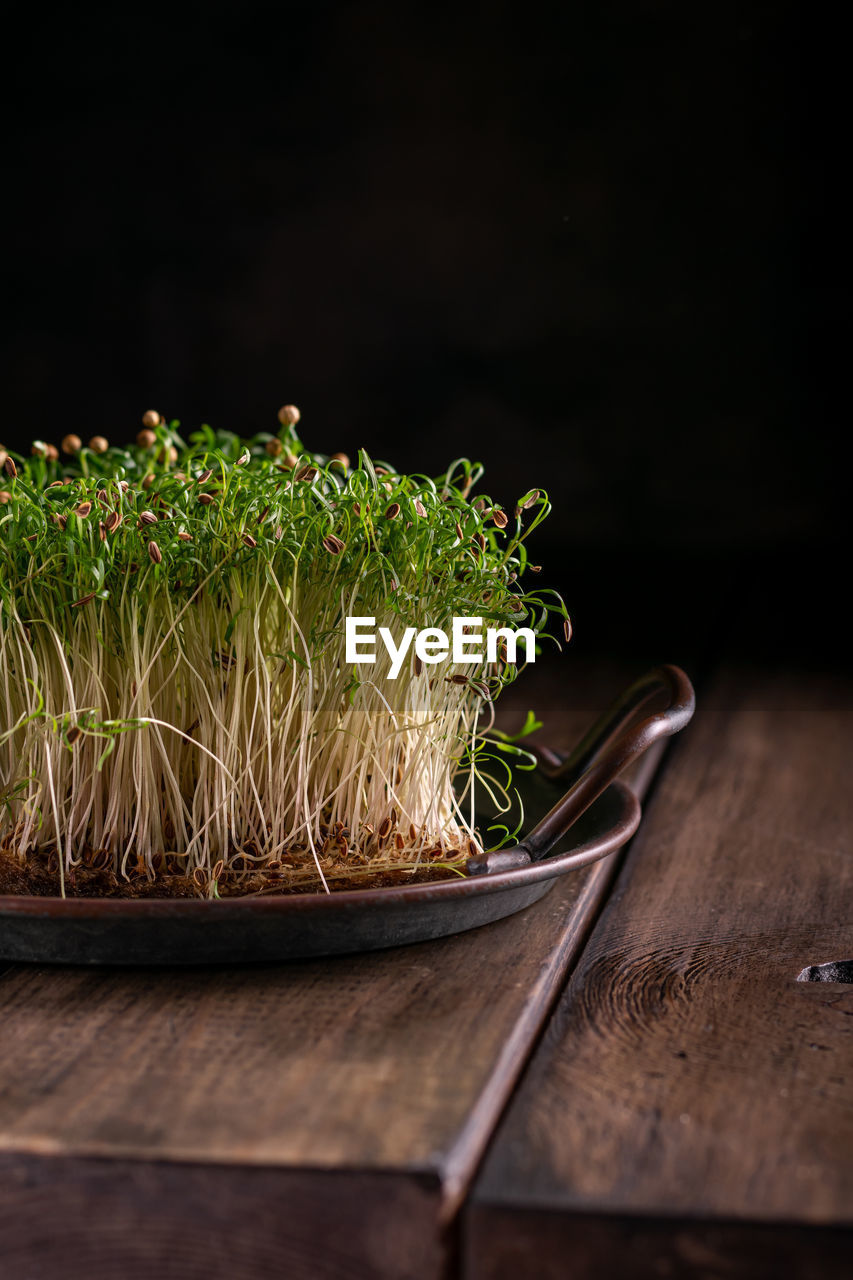 Fresh microgreens on a wooden table, healthy lifestyle concept, close up