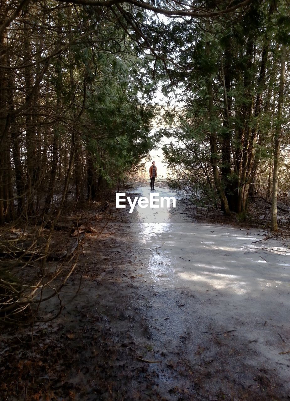 ROAD PASSING THROUGH FOREST