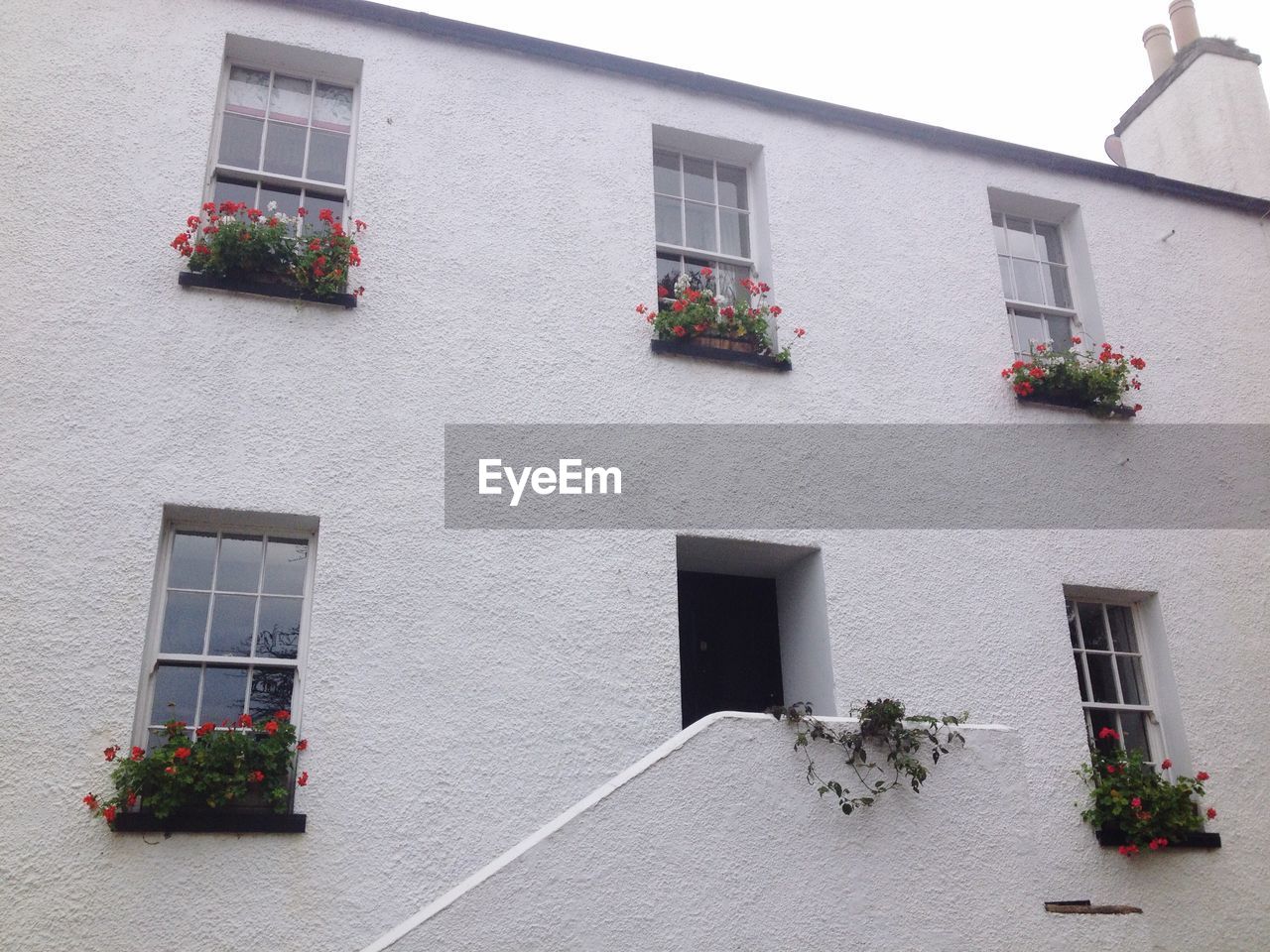 Low angle view of flowers at window of building