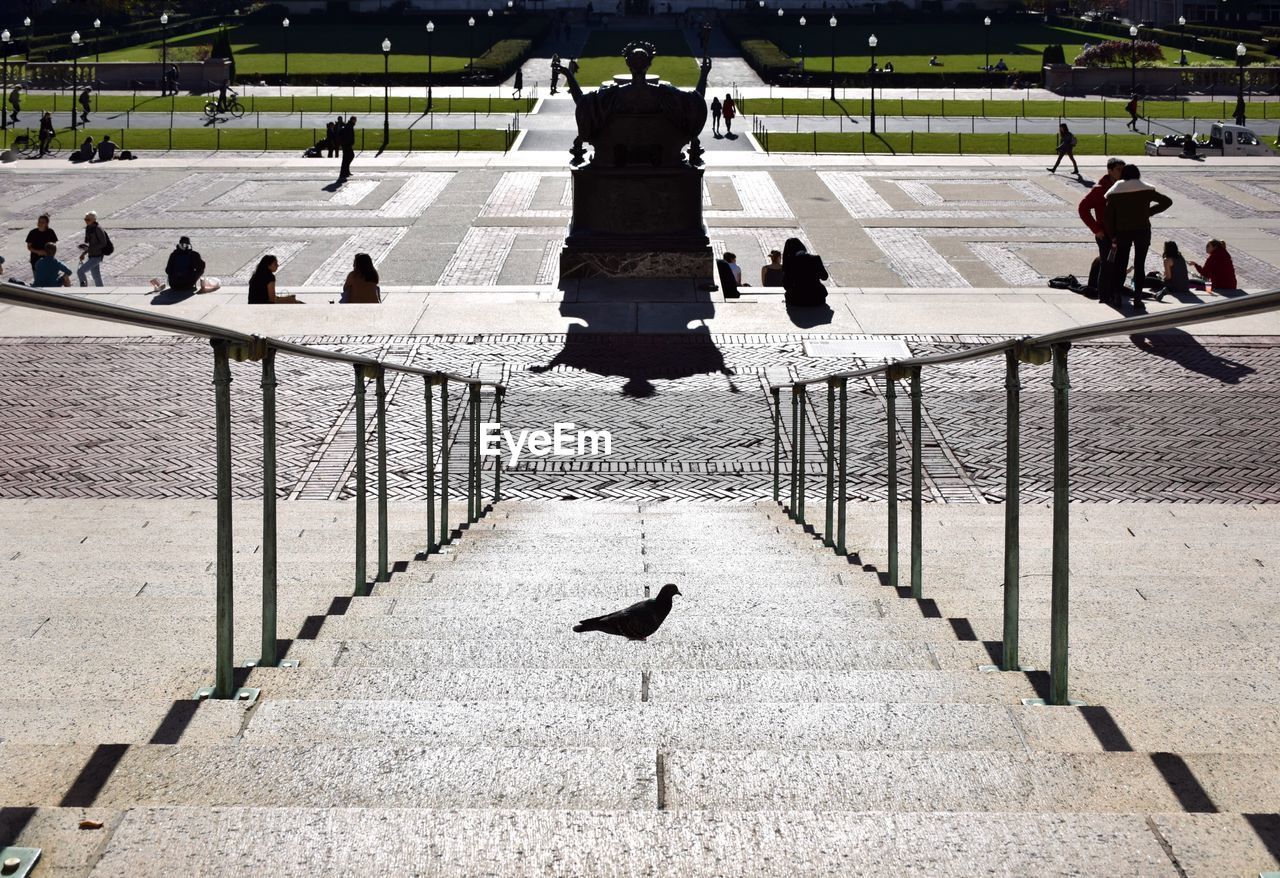 High angle view of bird perching on steps