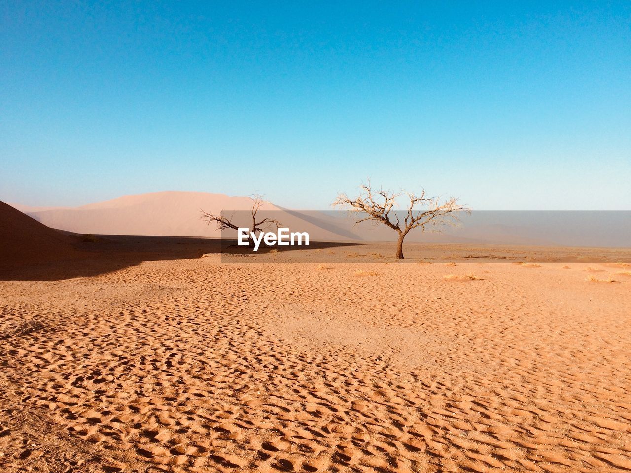 Sand dunes in desert against clear blue sky