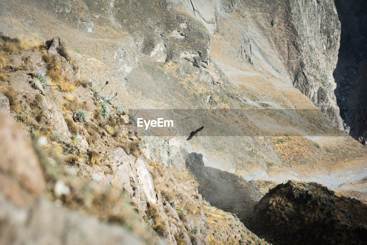 Close-up of rock formations