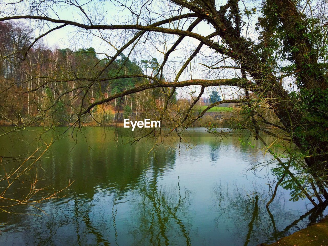 SCENIC VIEW OF LAKE