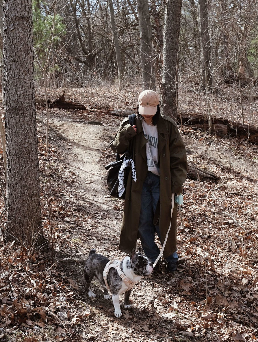 tree, dog, animal, animal themes, mammal, forest, pet, domestic animals, land, one animal, one person, canine, nature, adult, full length, clothing, plant, wilderness, lifestyles, men, day, person, leisure activity, animal sports, hiking, carnivore, woodland, front view, winter, hat, tree trunk, outdoors, trunk, warm clothing, walking