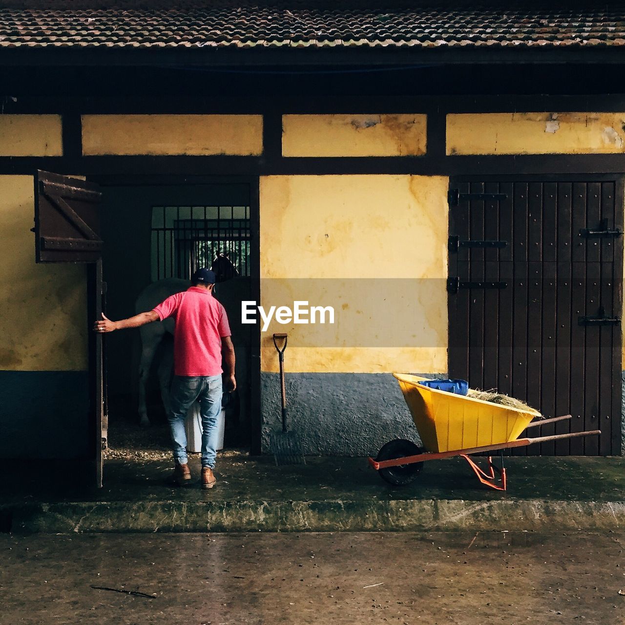 Rear view of man standing against stable