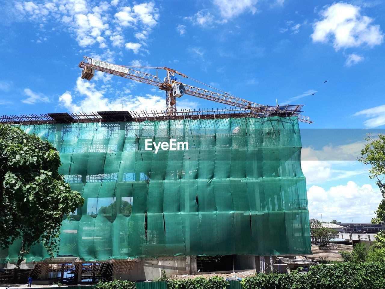 LOW ANGLE VIEW OF CRANE AGAINST SKY