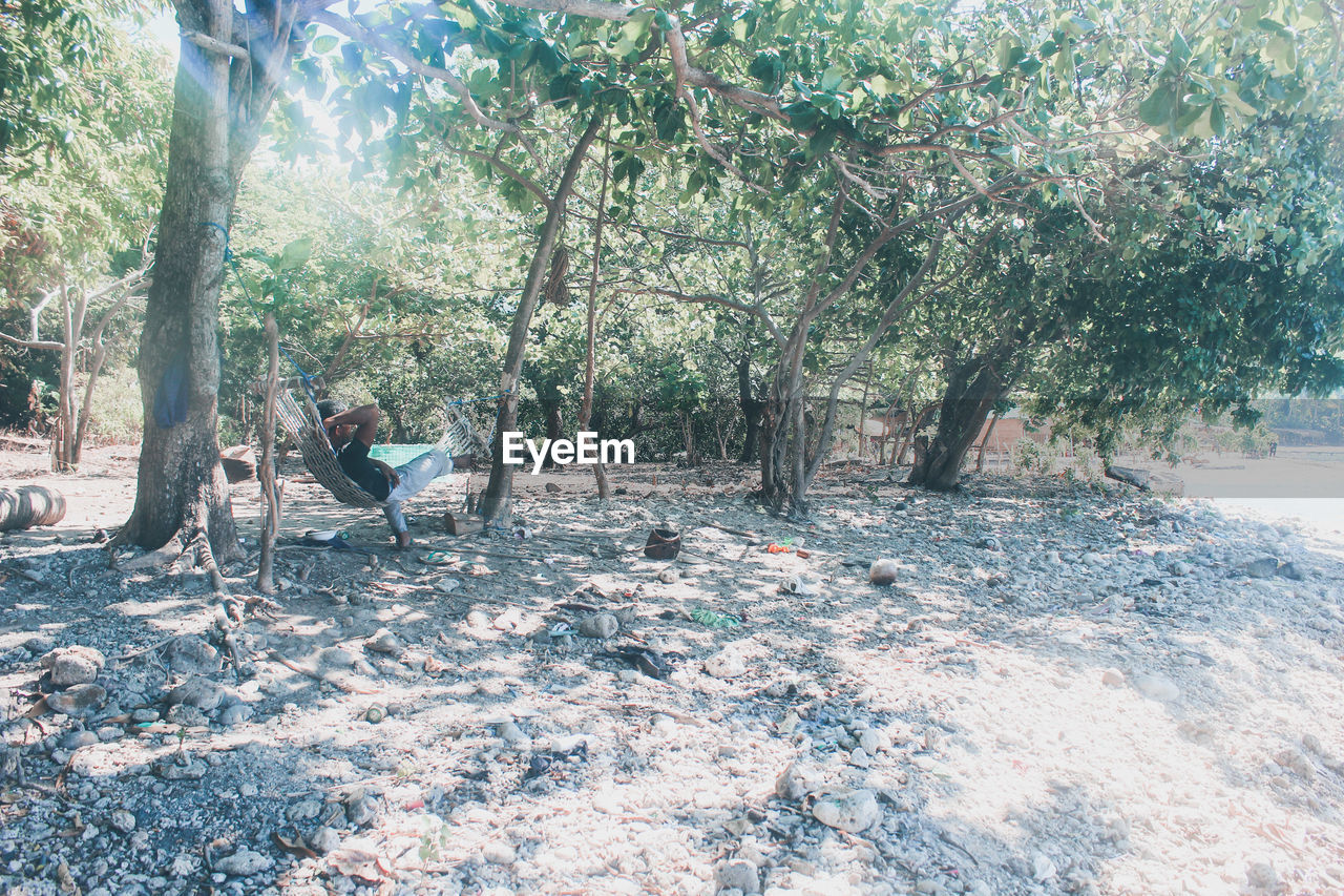 Man relaxing in hammock against trees