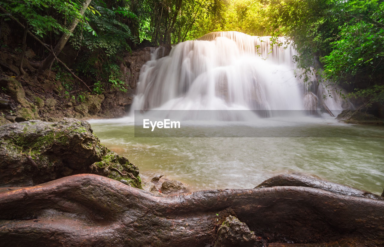 WATERFALL IN FOREST