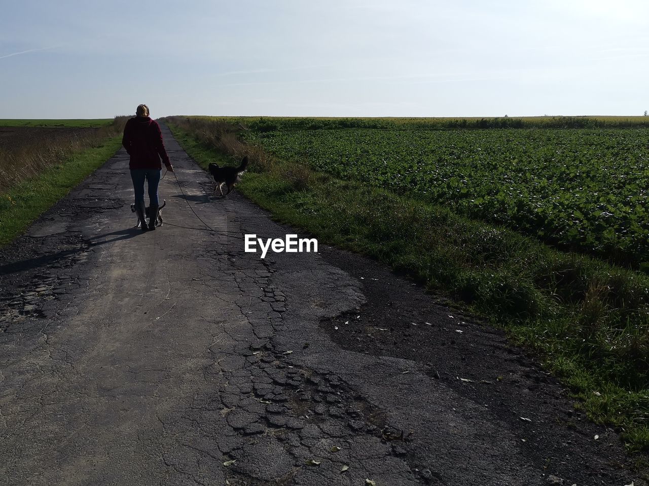 REAR VIEW OF MAN WALKING ON ROAD