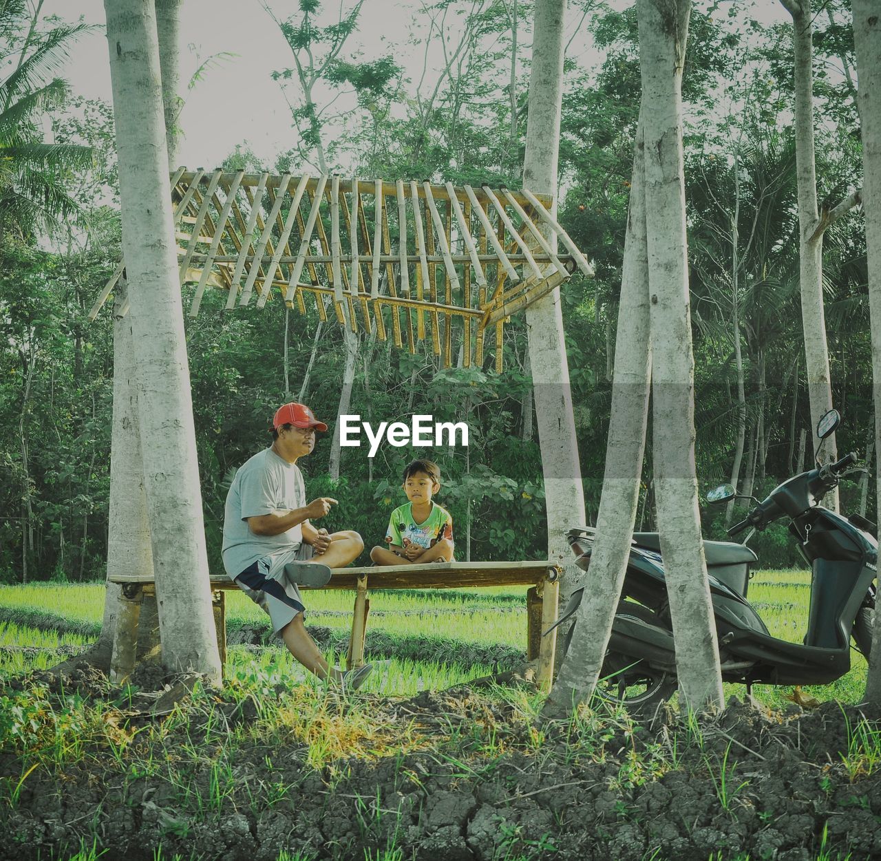 PEOPLE SITTING IN FOREST