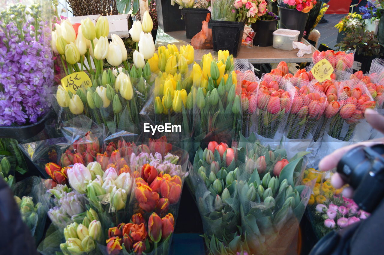 Multi colored flowers for sale at market
