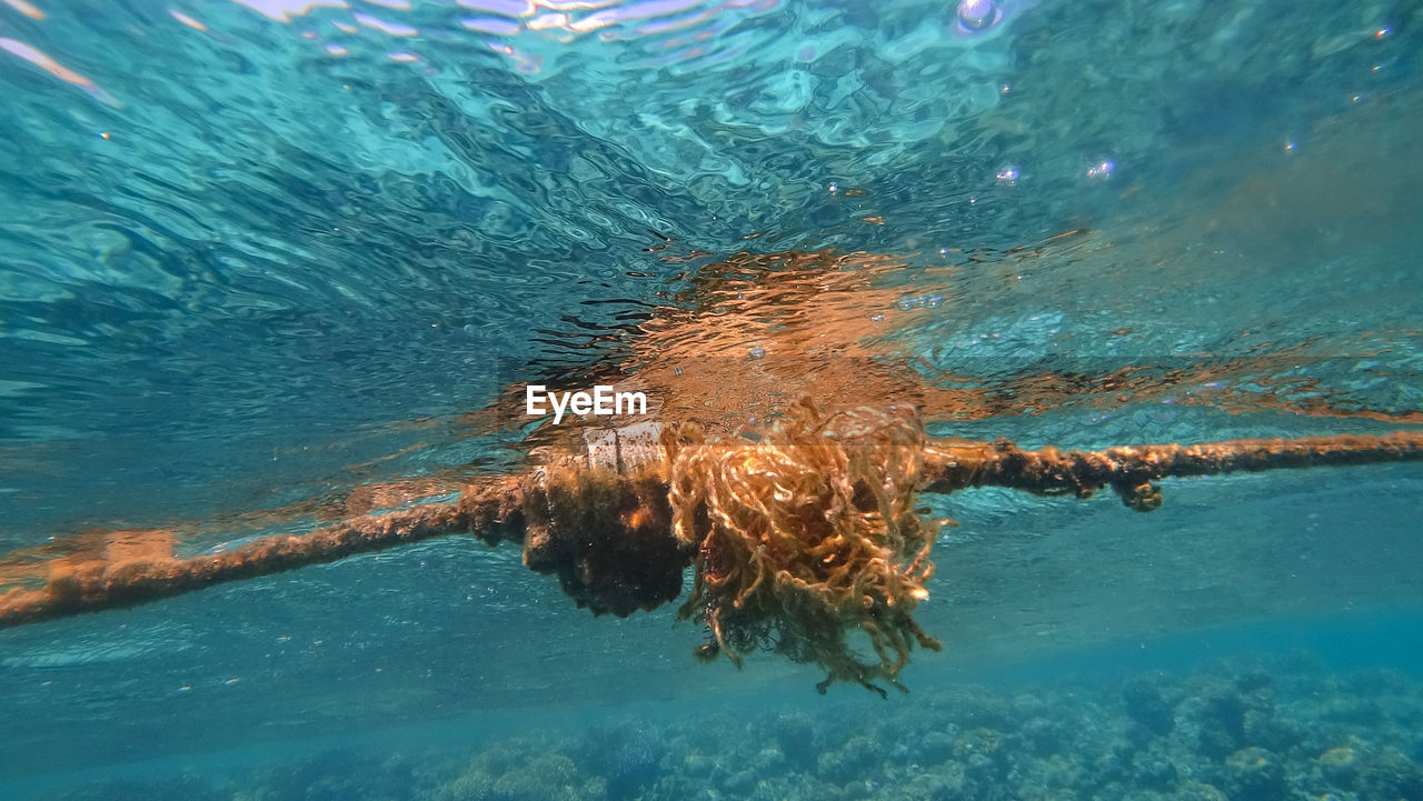 HIGH ANGLE VIEW OF SWIMMING IN SEA