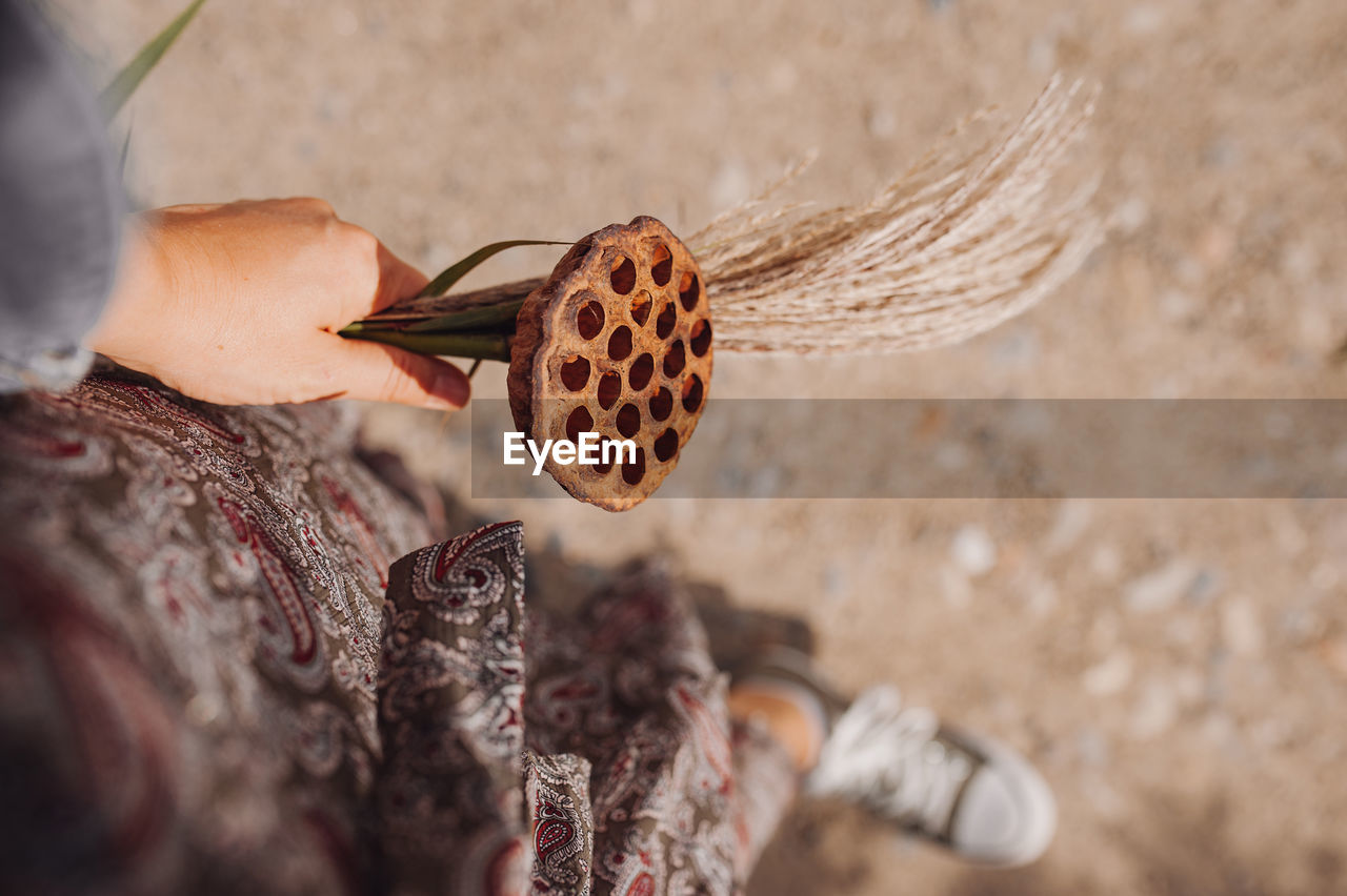 Autumn bouquet in your hand. spikelets, dried flowers, dry lotus flower. atmospheric autumn picture.