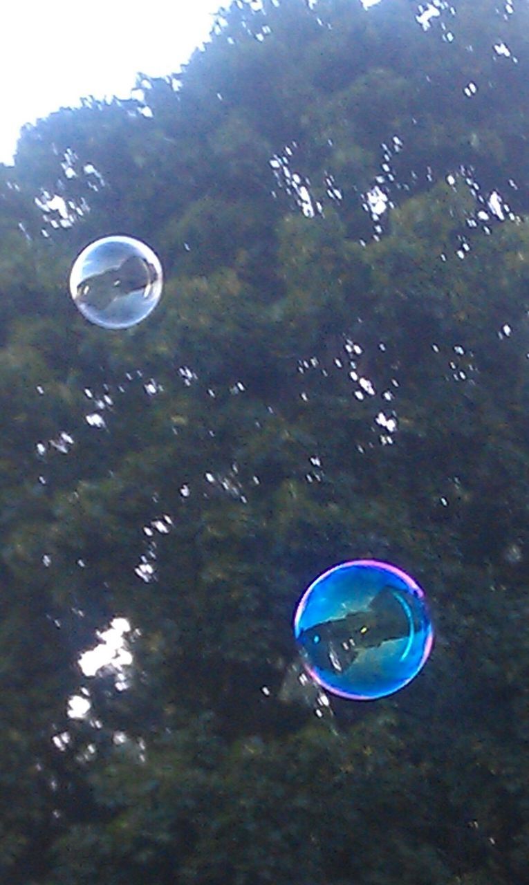 VIEW OF BUBBLES IN WATER