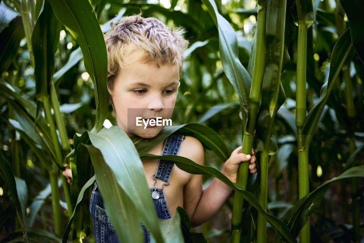 Portrait of boy against plants