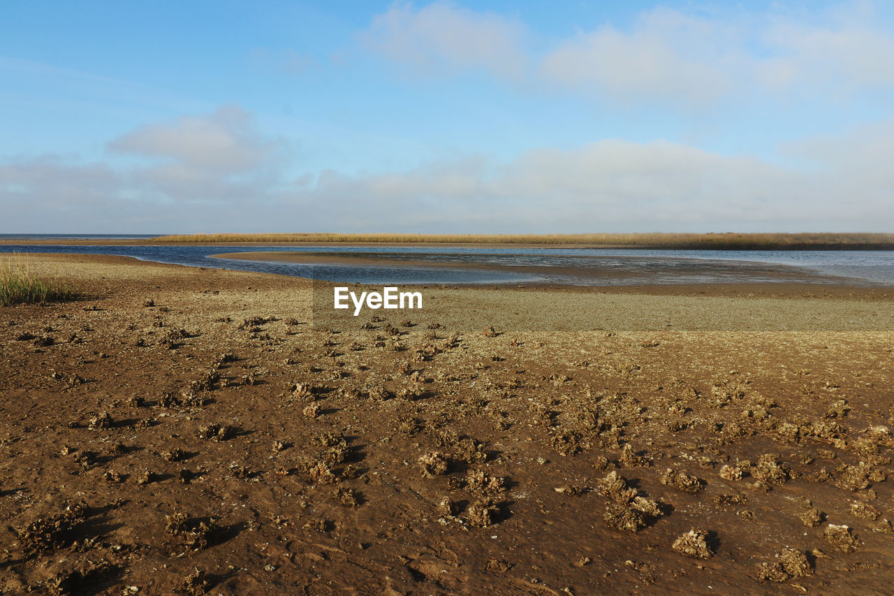 Scenic view of beach against sky