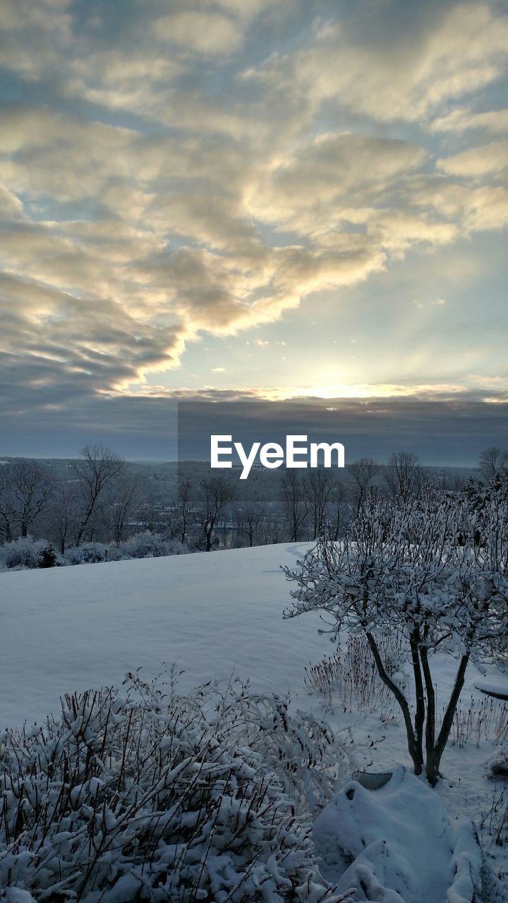 SNOW COVERED LANDSCAPE AT SUNSET