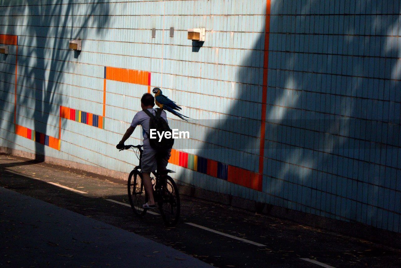 Man riding bicycle on road in city