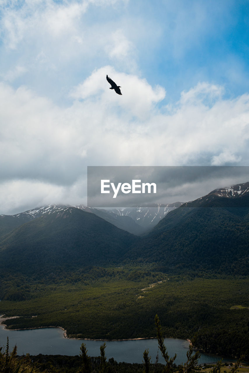 BIRD FLYING OVER MOUNTAINS