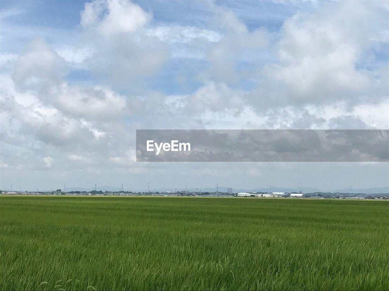 AGRICULTURAL FIELD AGAINST SKY