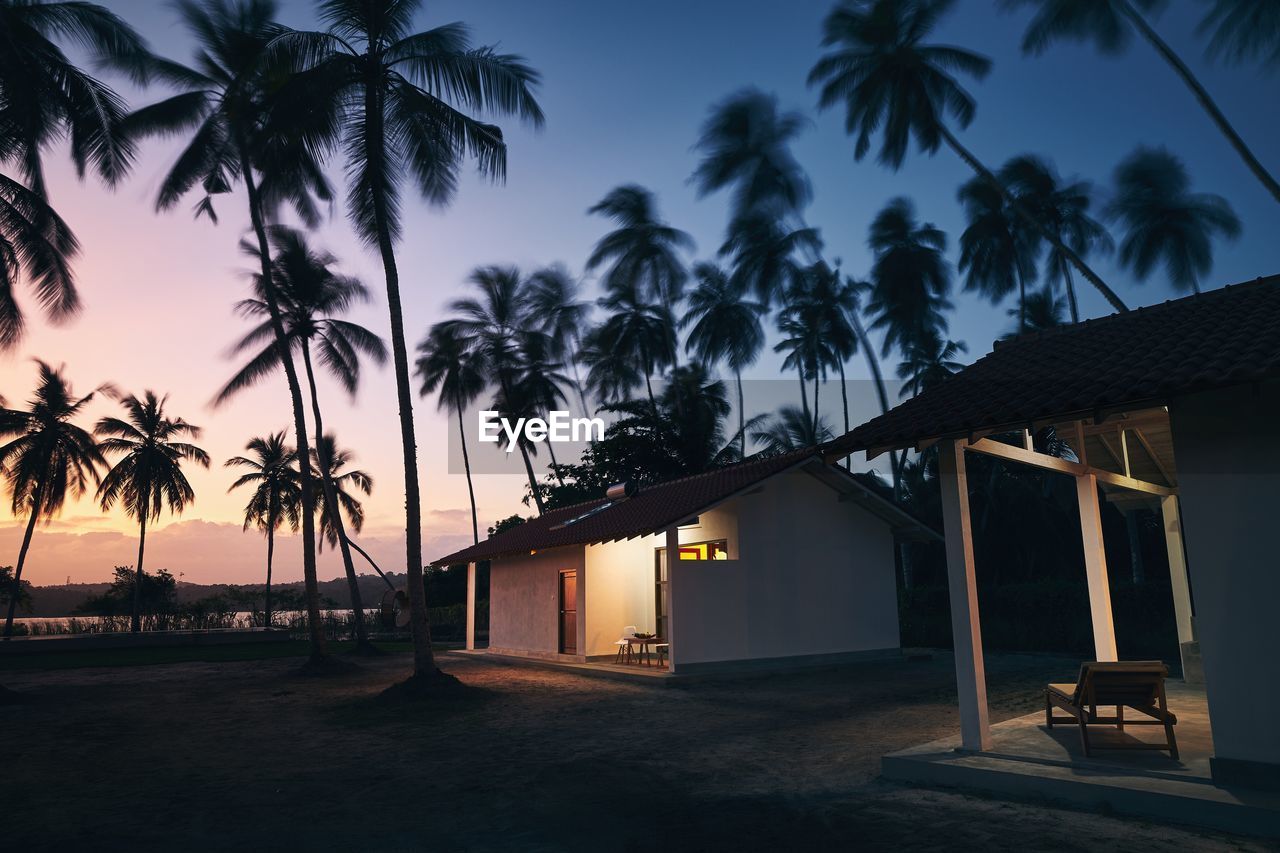 low angle view of palm trees against sky