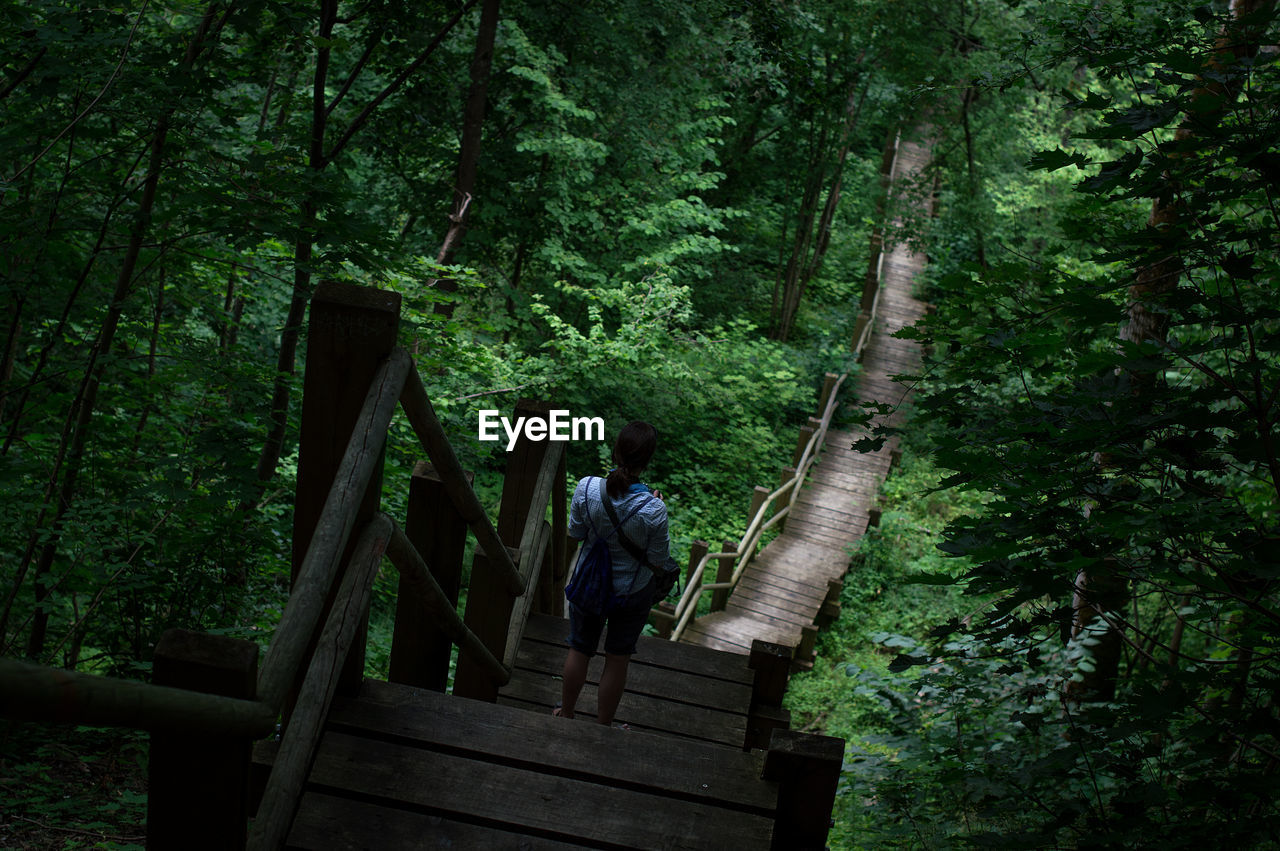 Rear view of woman walking on footbridge in forest