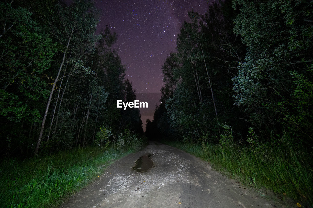 Spooky black night in summer forest, dirt road and starry sky.