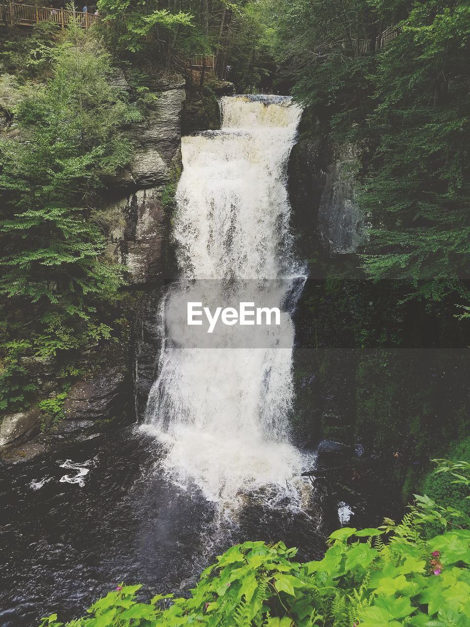 View of waterfall in forest