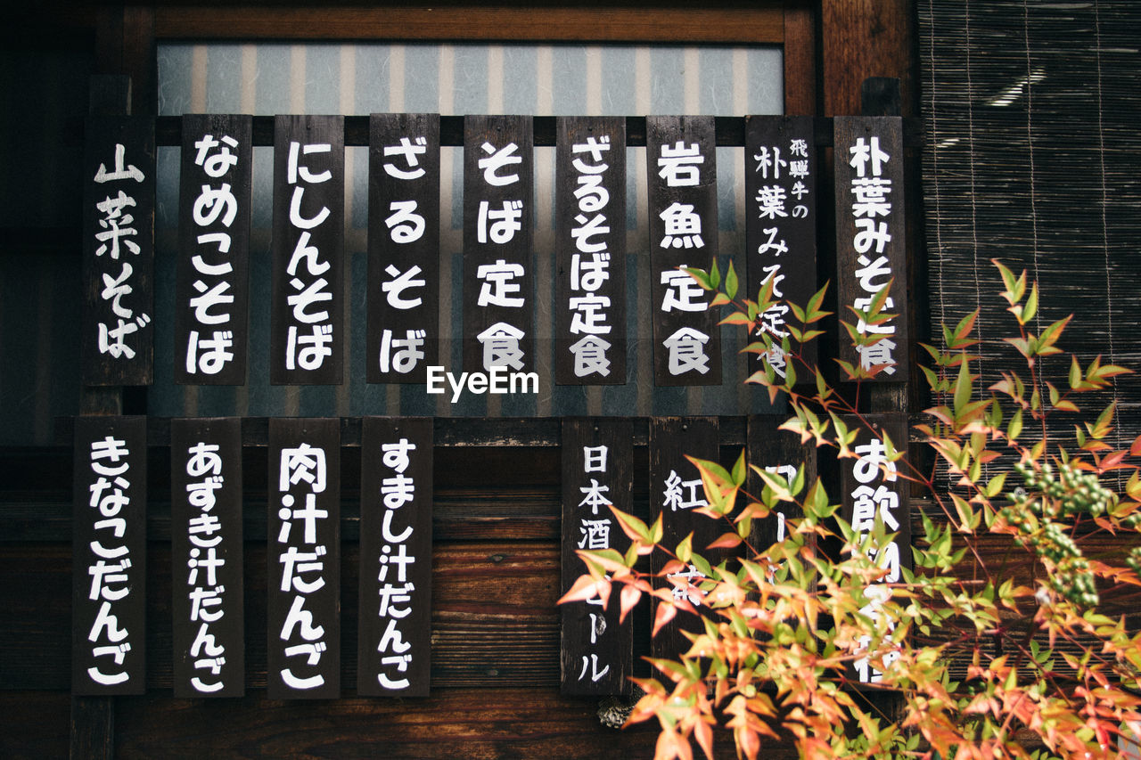 CLOSE-UP OF TEXT ON FLOWER AGAINST WALL